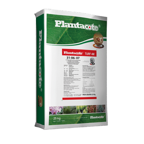 Saco de 25 kg do fertilizante Plantacote TURF 4M 31-06-07, indicado para gramados.