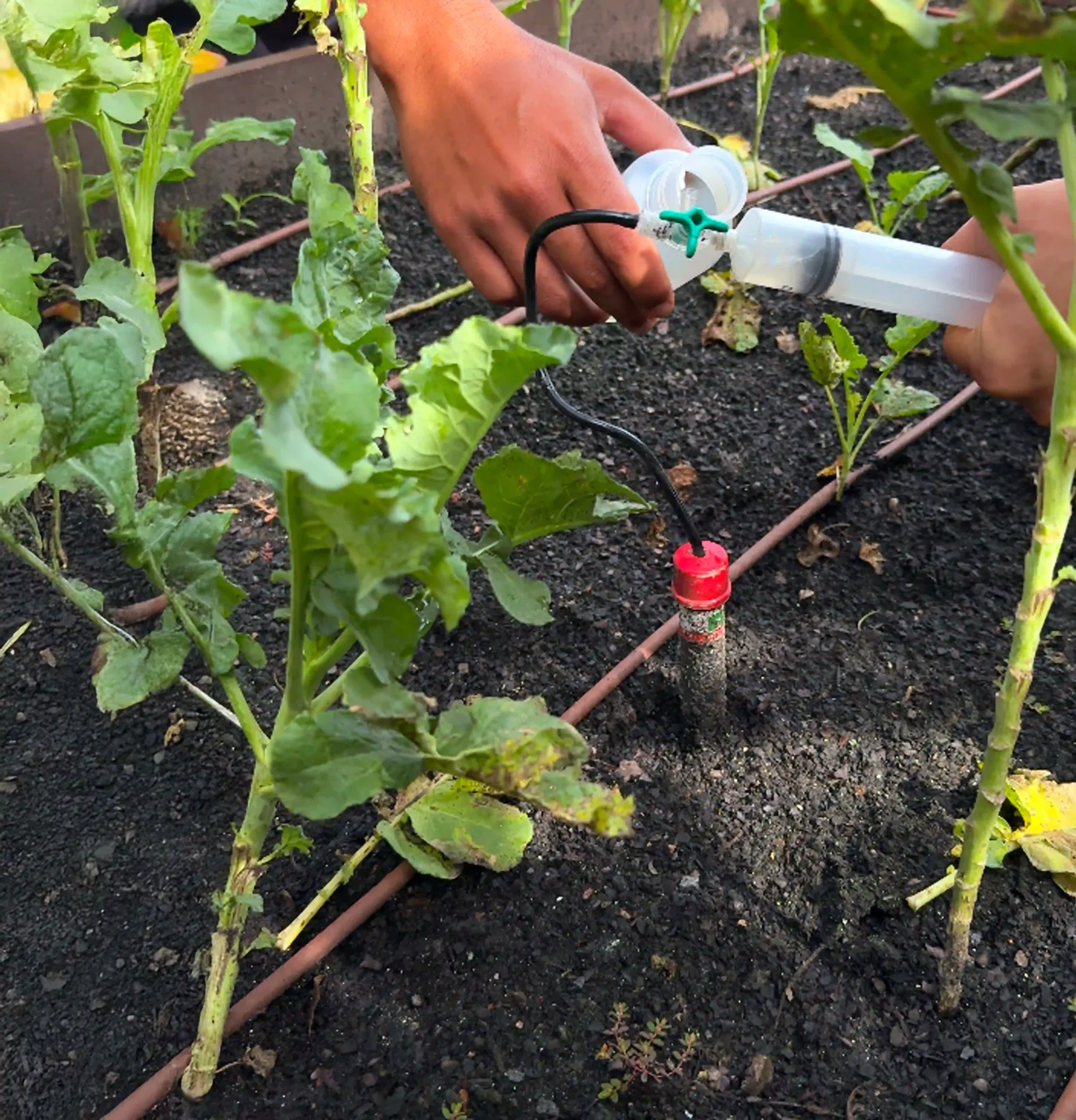 conexão-em-campo-agrosoil-lavoura-consultoria