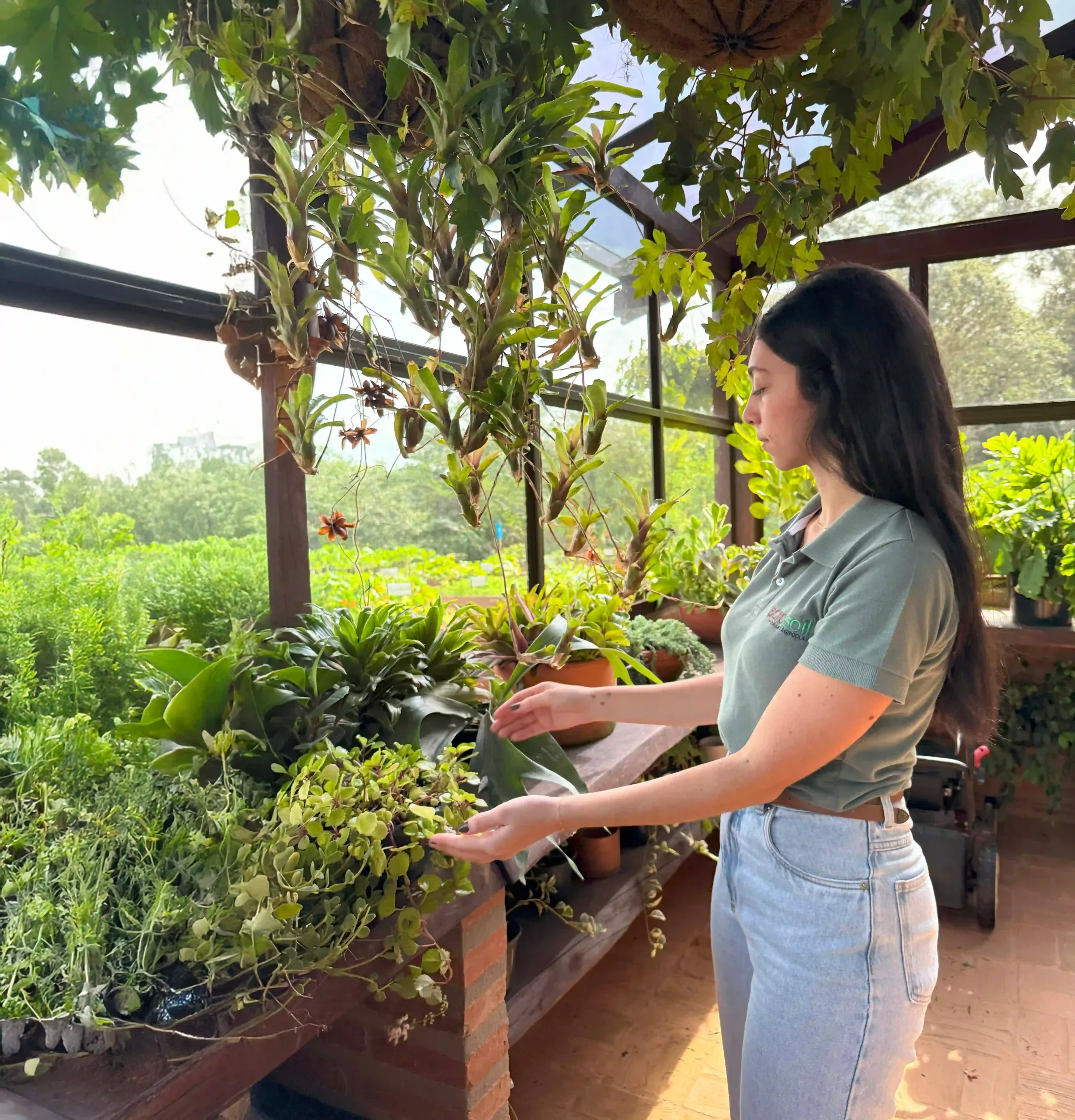 conexão-em-campo-agrosoil-viveiro-consultoria Mulher olhando para plantas dentro de um viveiro